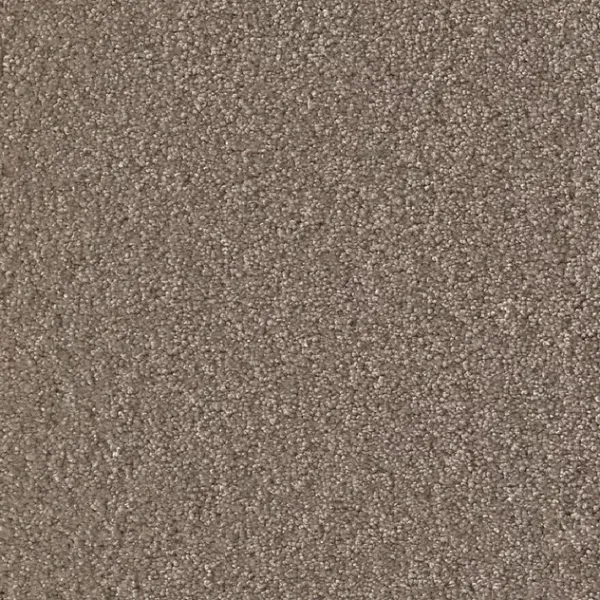 Draufsicht Girloon Cloud 861 Velours Teppichboden